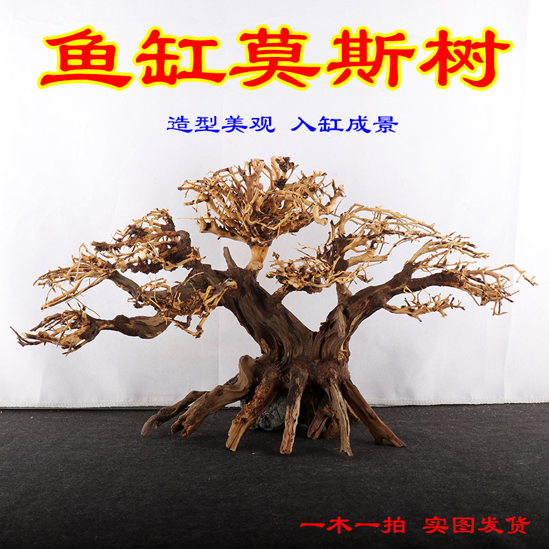 莫斯树成品鱼缸造景沉木迎客松树形骨架草缸水草水榕造景树巴西树