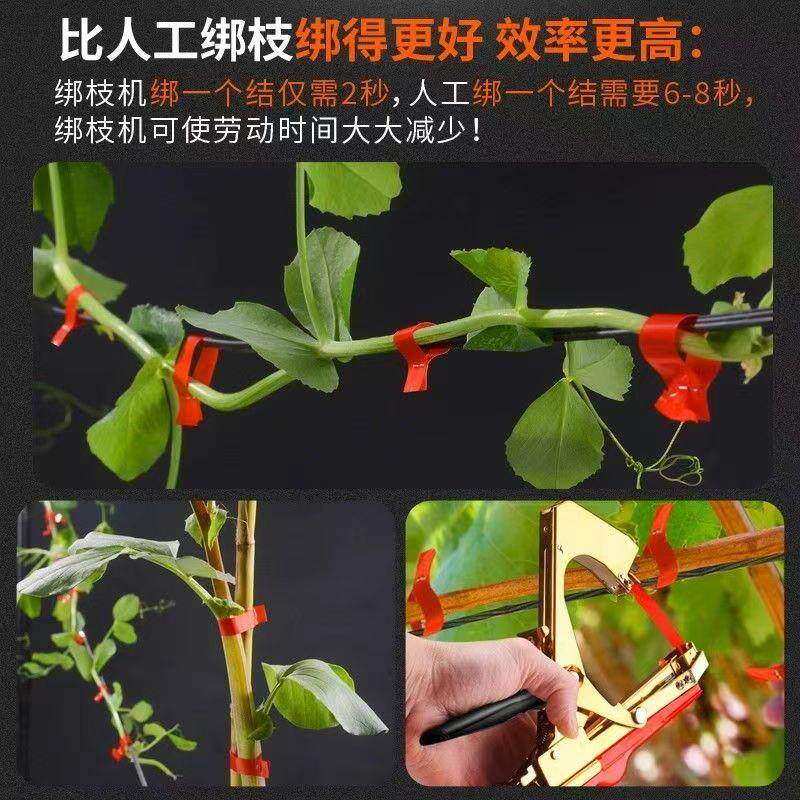 葡萄绑枝机绑黄瓜西红柿农用自动帮带机绑藤捆扎胶带新款捆绑机