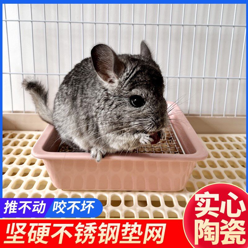 兔子陶瓷大号厕所龙猫荷兰猪厕所防啃咬超重便盆不锈钢网防掀厕所