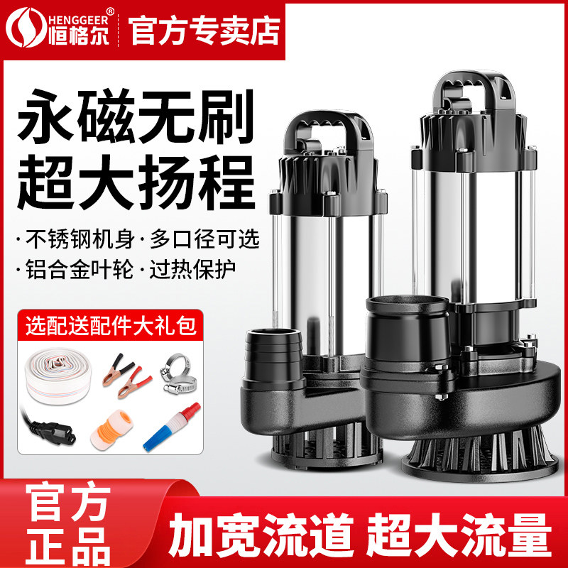 直流潜水泵12V24V48V60V电动车电动车水泵小型农用灌溉浇菜抽水机