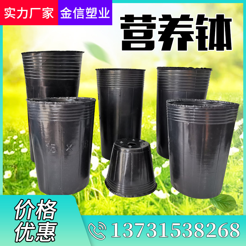 营养钵育苗杯一次性花盆营养杯塑料营养袋果树育苗盆加厚育苗袋