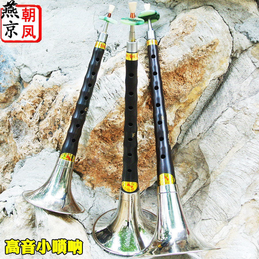 唢呐乐器全套专业黑檀乌木小G调高音小F调E调小锁呐海迪儿童初学