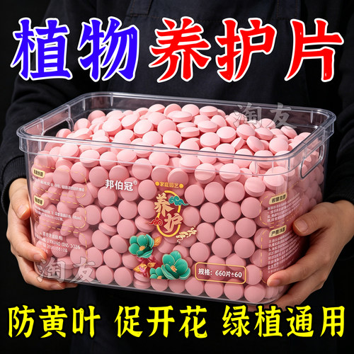 家用盆栽绿植缓释肥片促生长