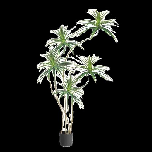 龙血树客厅绿植室内大型盆景好养落地盆栽旺宅植物花盆千年木禄植