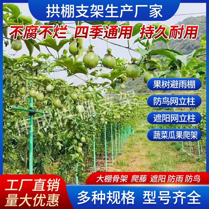 【客服定制】拱棚支架大棚拱杆玻璃纤维杆菜棚豆角架爬藤杆
