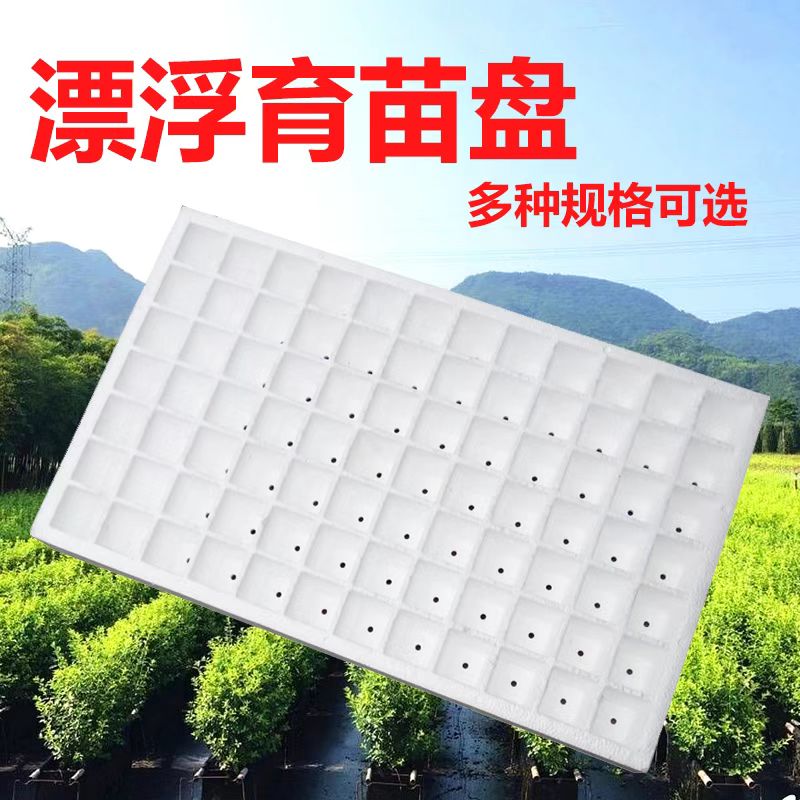 漂浮育苗盘漂盘烤烟泡沫育苗盘穴盘秧盘水培盘育苗盘白色泡沫板