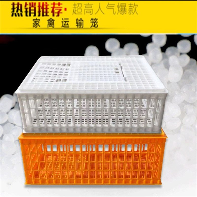 鸡笼家禽周转筐全新熟料大号加厚防摔鸡鸭鹅鸽运输周转箱鸭鸡笼子