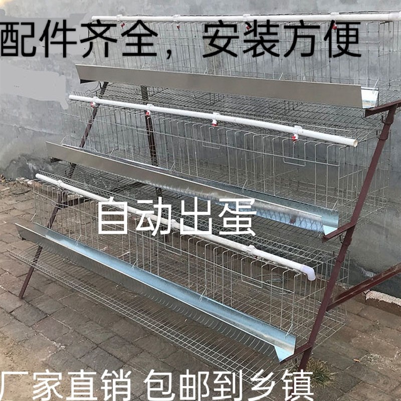 蛋鸡笼子包邮加粗镀锌养殖场大号阶梯式三四层自动出蛋笼源头厂家