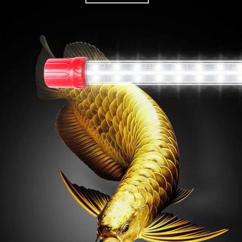 鱼缸灯LED灯照明灯防水水族箱金龙鱼灯黄色鹦鹉鱼黄色锦鲤专用灯
