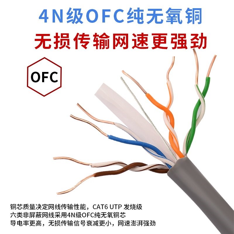 国标安普网线8芯超五类六类千兆万兆Poe福禄克非屏蔽双屏蔽网络线