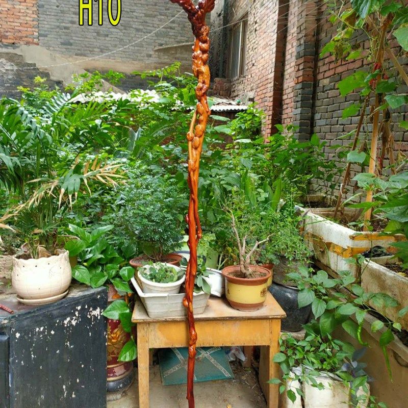 云南黑果木红茶树原生象形新品实木拐杖一体禅杖根雕文玩收藏摆件