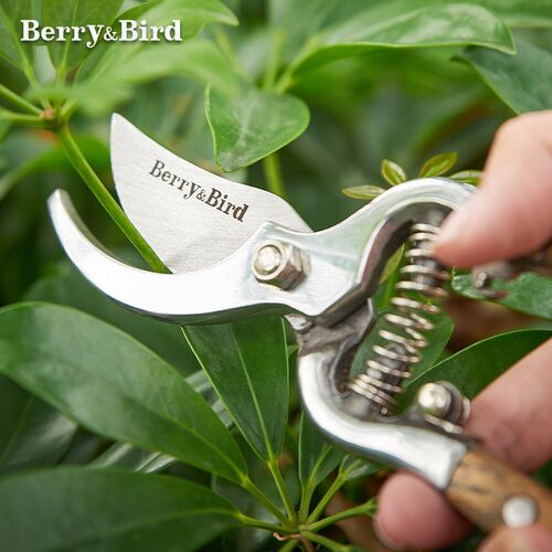 Berry&Bird复古园艺剪刀木柄粗枝花卉盆景修枝剪子省力修剪工具