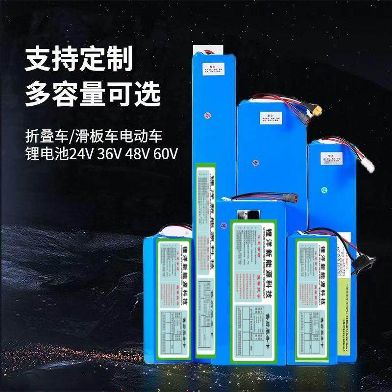 通用滑板车锂电池48V10a12a折叠车36V小海豚60V15a20a代驾车电池