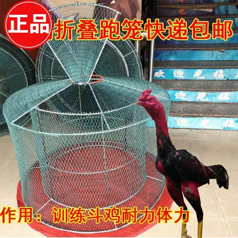 斗鸡跑笼双层训练笼子鸡笼双层斗鸡训练国产跑笼斗鸡鸡笼折叠包邮