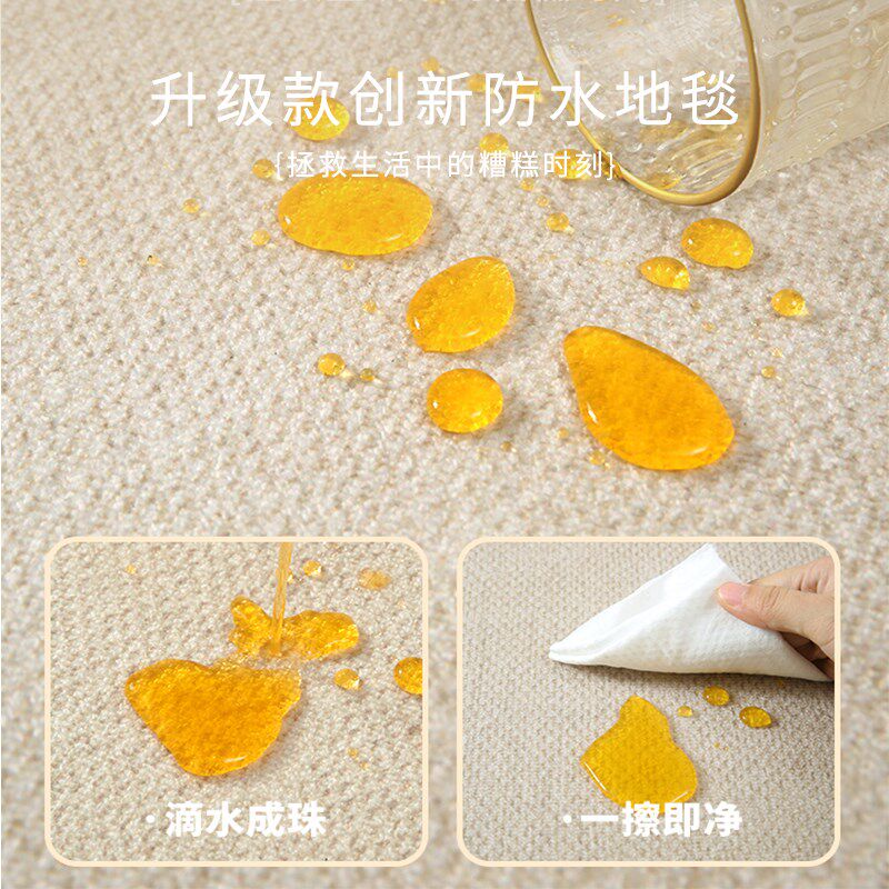 法式素色地毯客厅2025新款免洗可擦欧式房间卧室沙发茶几地垫家用