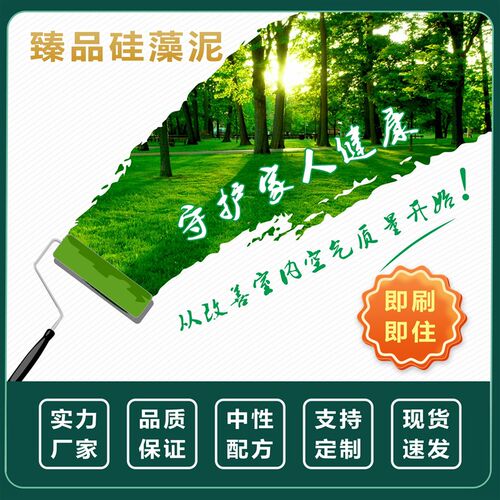 家用装修室内外背景墙面翻新弹涂树皮米洞石耐擦洗干粉硅藻泥涂料