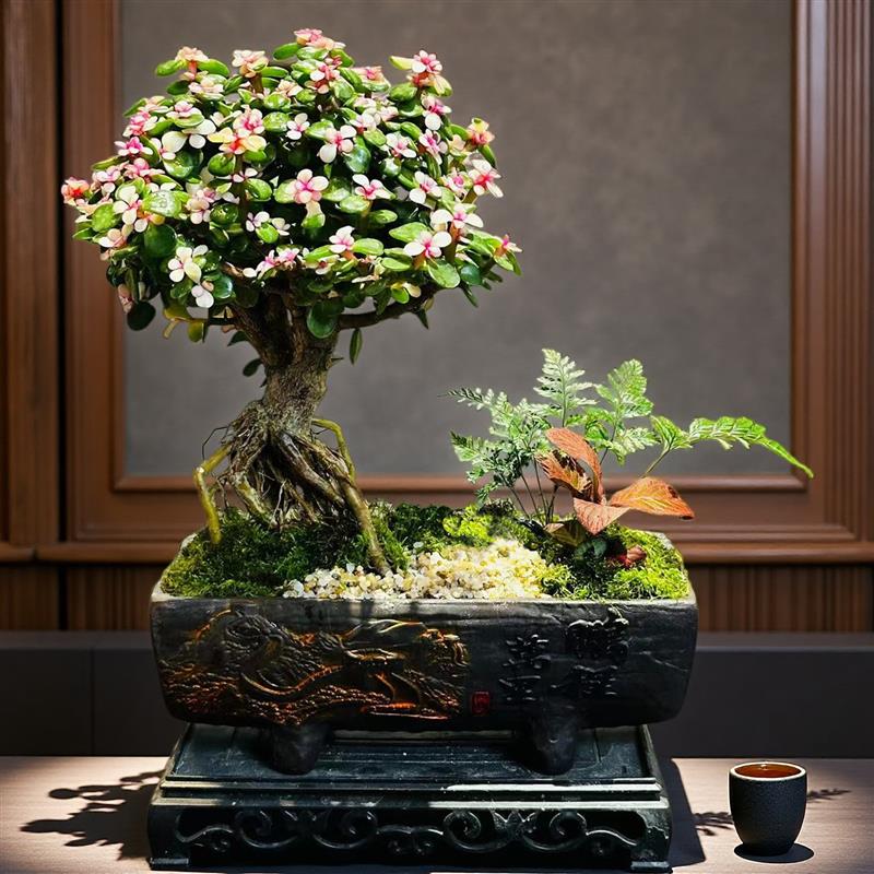 金枝玉叶花卉盆栽室内家居好养绿植玄关桌面摆件四季新品多肉盆景