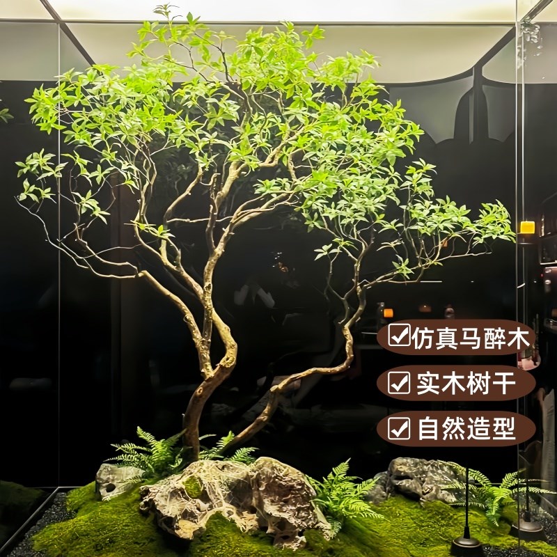 高端彷真马醉木室内植物造景吊钟树彷真绿色植物大型假树景观橱窗