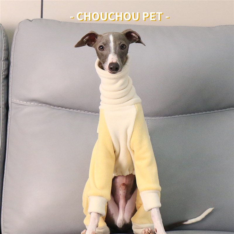 意大利小灵缇高领四脚衣柔软弹力保暖惠比特拼色保暖宠物服装