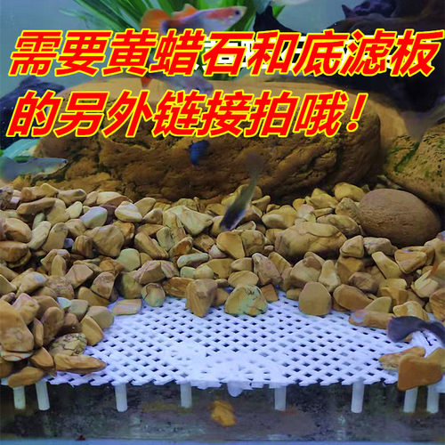 养龟箱塑料垫板养龟缸石头造景垫底板客厅小型大号龟盆水族养鱼缸