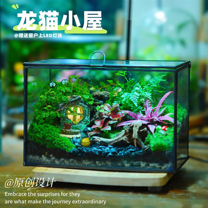 苔藓微景观生态造景办公桌面床头装饰龙猫小屋带灯珠创意摆件盆栽