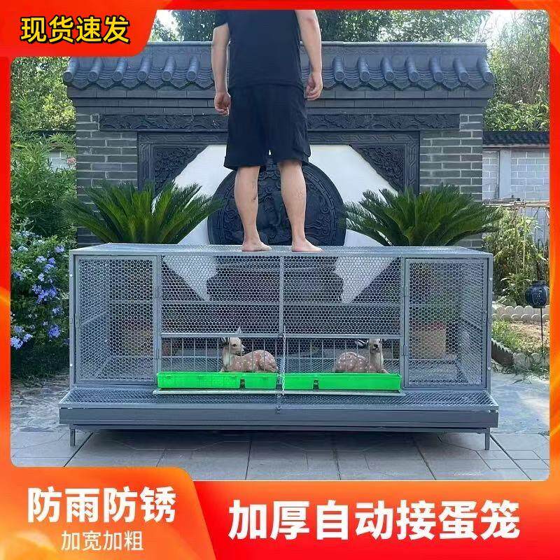 尖顶自动接蛋款室外家用防黄鼠狼饲养笼鸽子鸭兔芦鸡鹅下蛋养殖笼