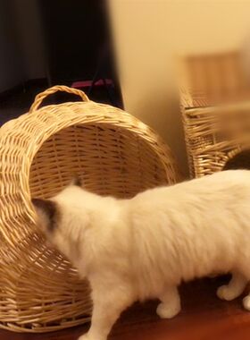 手提猫窝藤编夏天凉窝四季通用易清理半封闭式猫屋房子狗窝可拆洗