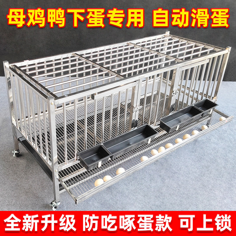 新款不锈钢滚蛋笼自动蛋鸡笼多层家用大号特大笼子加厚鸡鸭养殖笼