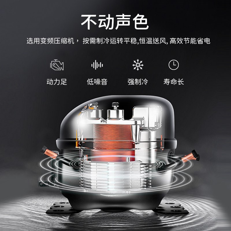 威盈爬宠孵化箱0.1乌龟孵化机蜥蜴孵化器爬虫恒温箱蛇类冬眠箱
