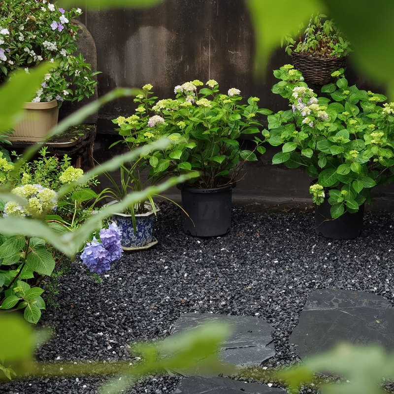 水洗石地面专用水磨石子五彩石庭院铺路鹅卵石花园造景砾石碎石头