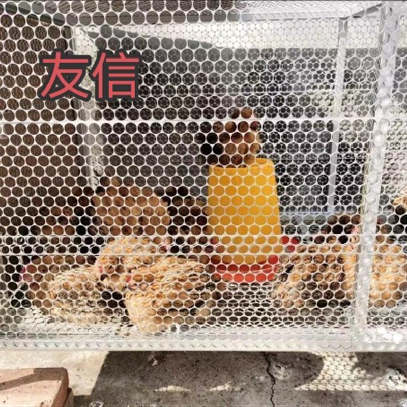 家用养殖鸡笼鸽笼兔笼子厂家直销冲孔网笼家禽笼防鼠防蛇防黄鼠狼