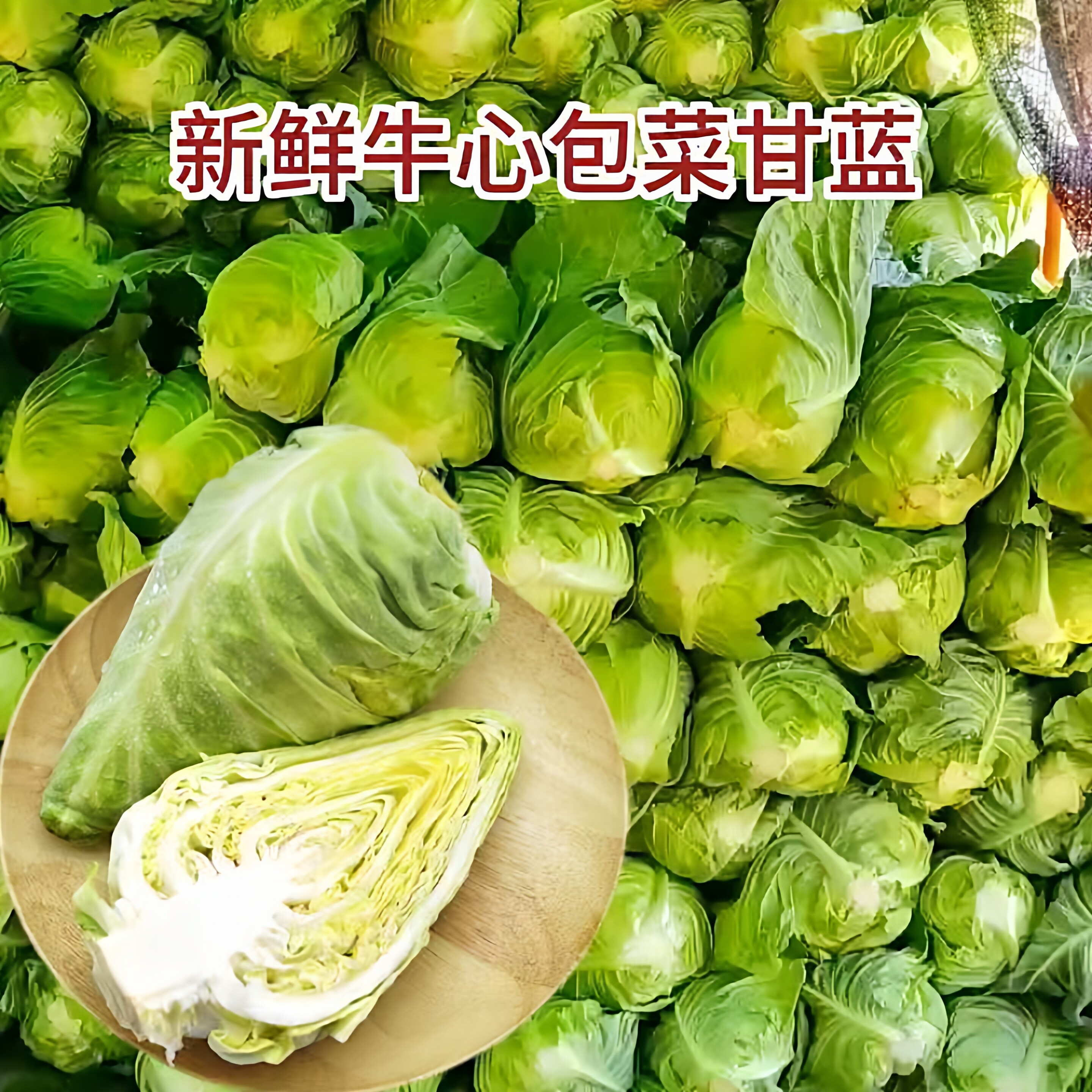 包菜莲花白新鲜牛心包菜尖头云南农家自种现砍四季蔬菜食用农产品