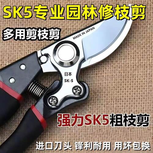 省力修枝剪家用果树修枝剪刀园林粗枝剪刀园艺剪树枝剪