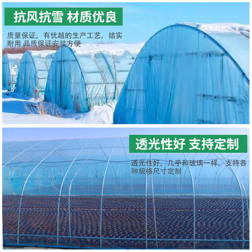 大棚钢管骨架种植蔬菜花卉养殖鸡羊大棚连联体椭圆管全套温室大棚