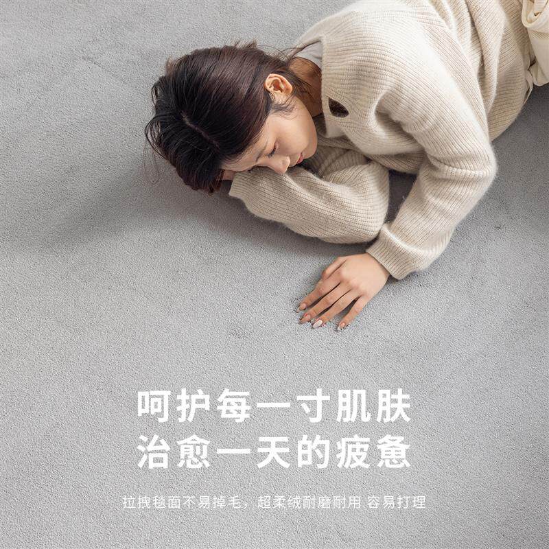 灰色地毯可机洗短毛卧室床边毯加厚客厅茶几地垫房间全铺床前脚垫