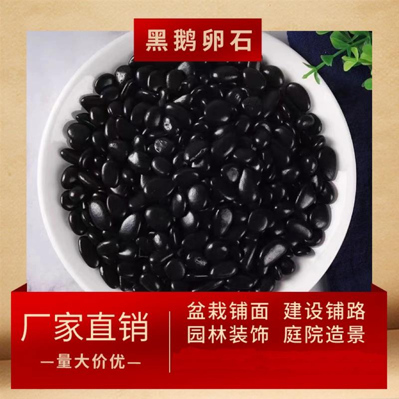 重庆黑色鹅卵石造景花盆铺面鱼缸花园装饰园林景观黑色抛光鹅卵石