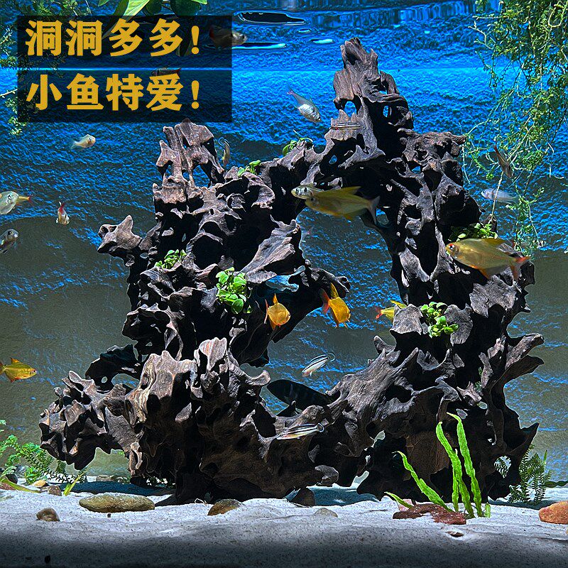 天然洞沉木5060当贝鱼缸原生草缸灯鱼造景水榕虾木躲避中空树桩