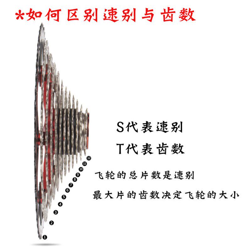 日晖山地车HG卡式飞轮8/9/10/11/13速八九速后轮自行车变速齿轮盘