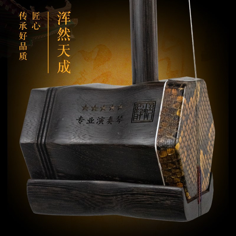 鸡翅红木二胡乐器初学者儿童六角手工制作演出高级精品二胡