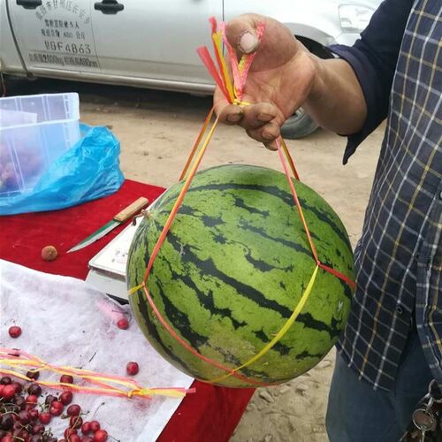 西瓜网袋网兜装西瓜手工编织手提西瓜袋塑料西瓜绳一捆装西瓜