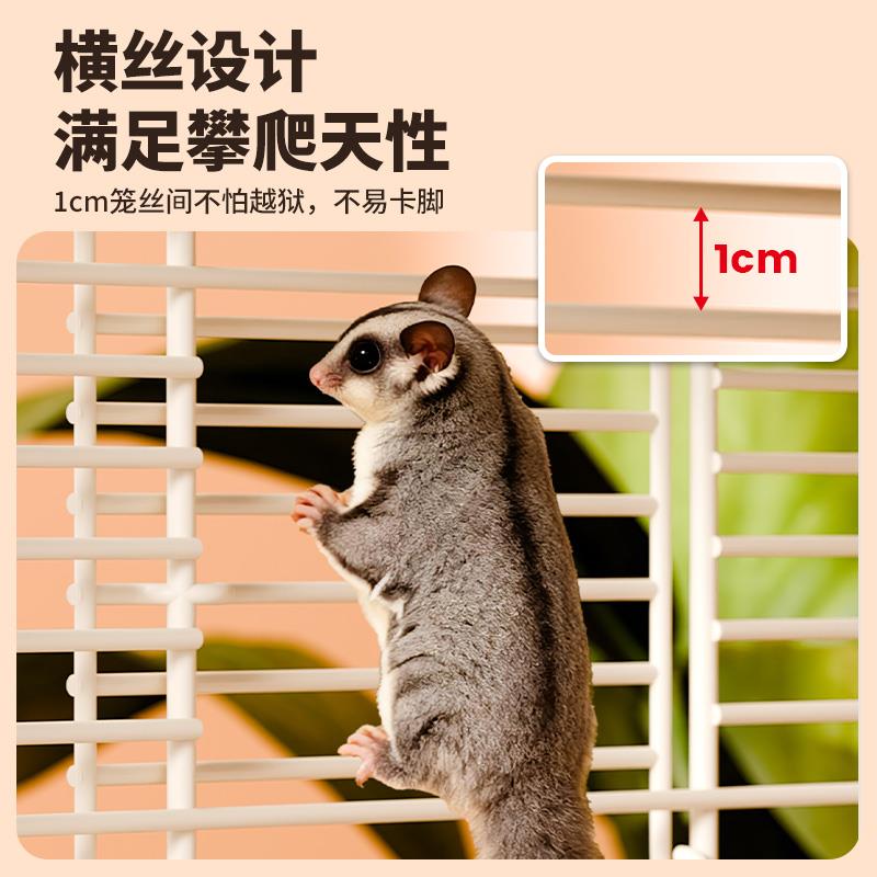蜜袋鼯笼子饲养笼高透玻璃横丝移动城堡松鼠花枝鼠飞鼠豪华大别墅
