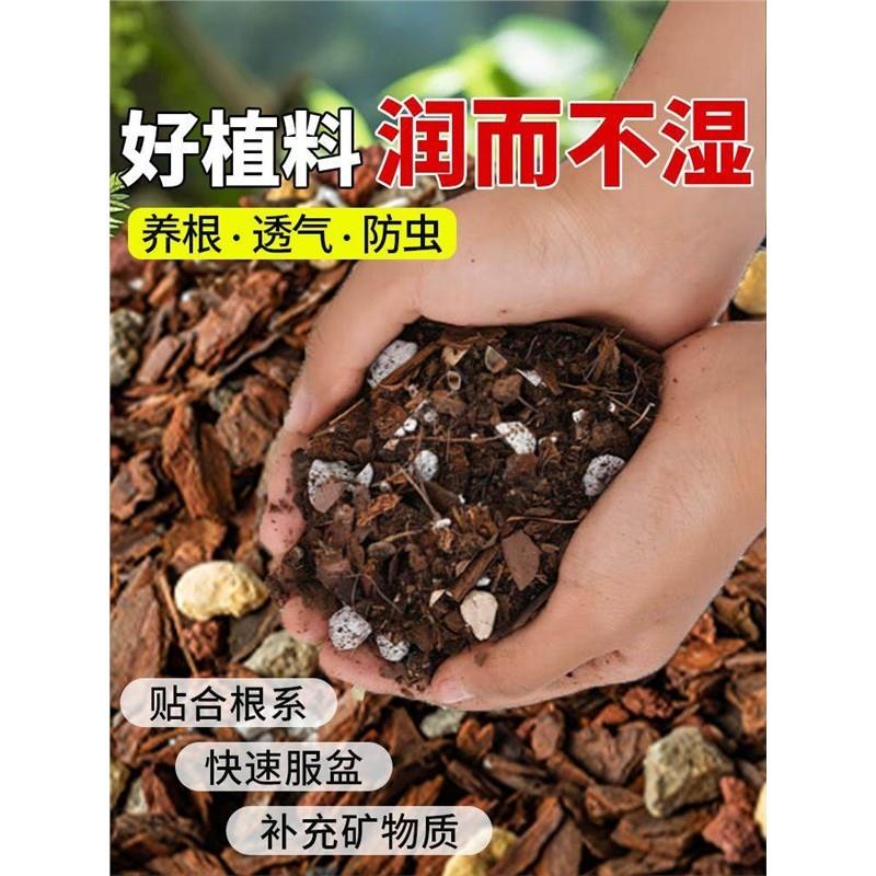 兰花专用土营养土兰花专用植料种养君子兰松树皮墨兰蝴蝶专用肥料