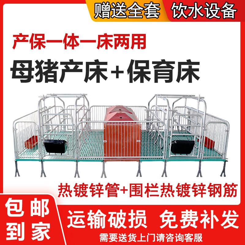 母猪产床保育床产保两用一体猪用双体分娩床猪产房定位栏养猪设备