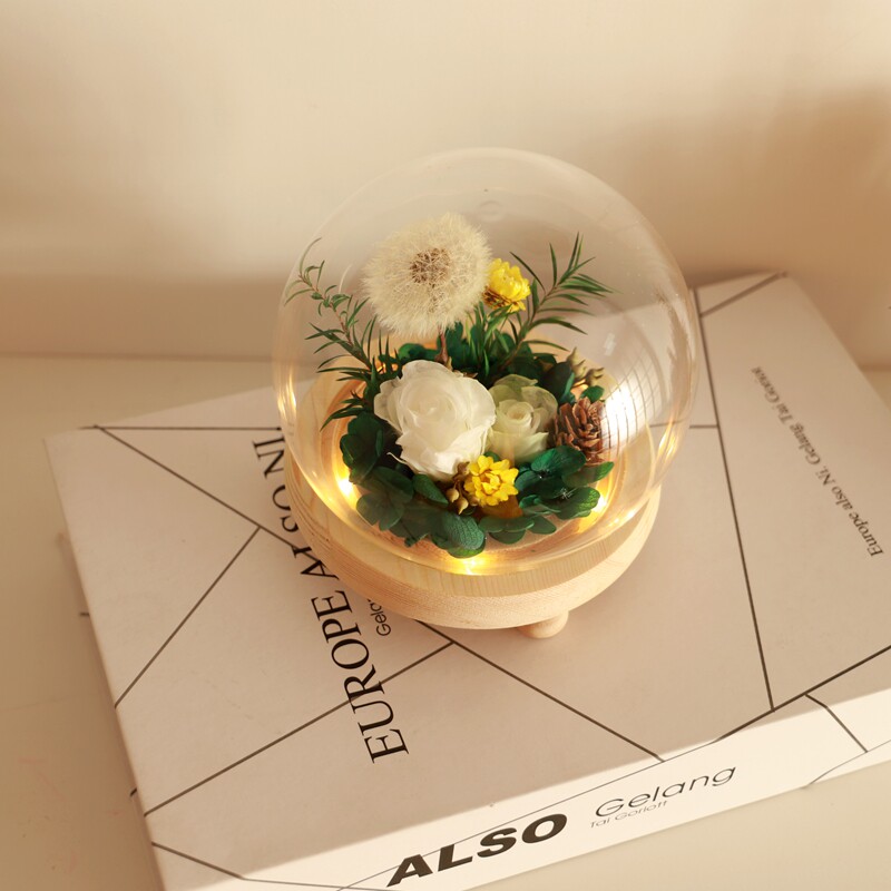 蒲公英发光玻璃罩永生花干花材料包diy团建礼物送女友母亲节520
