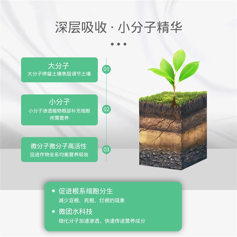 活菌根多多生根壮苗剂增产果树蔬菜葡萄生物有机肥水溶冲施肥包邮