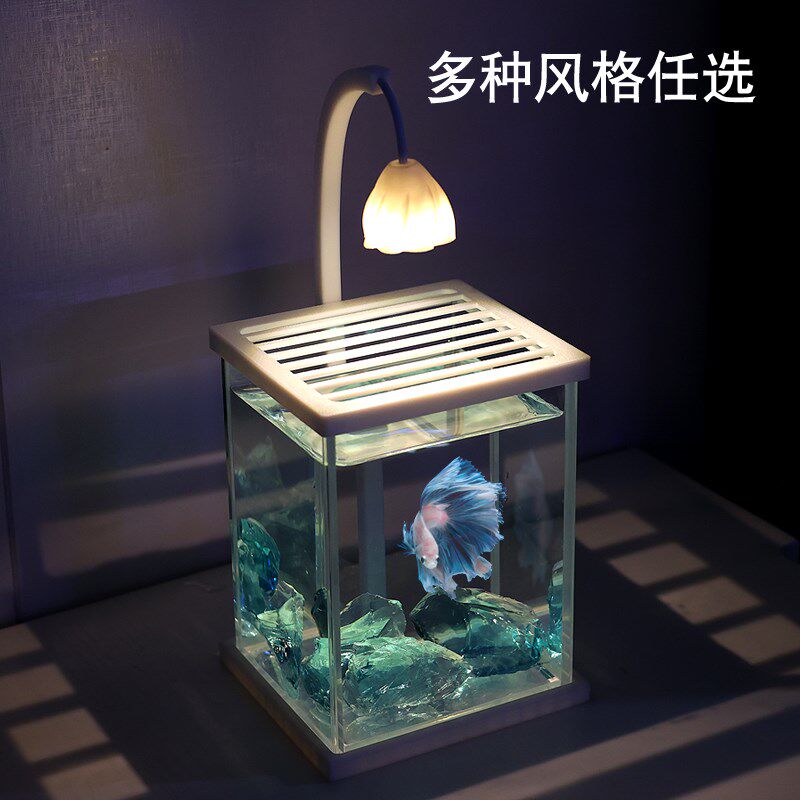 超白斗鱼缸造景套餐泰斗专用桌面迷你缸简约创意LED小夜灯高级感