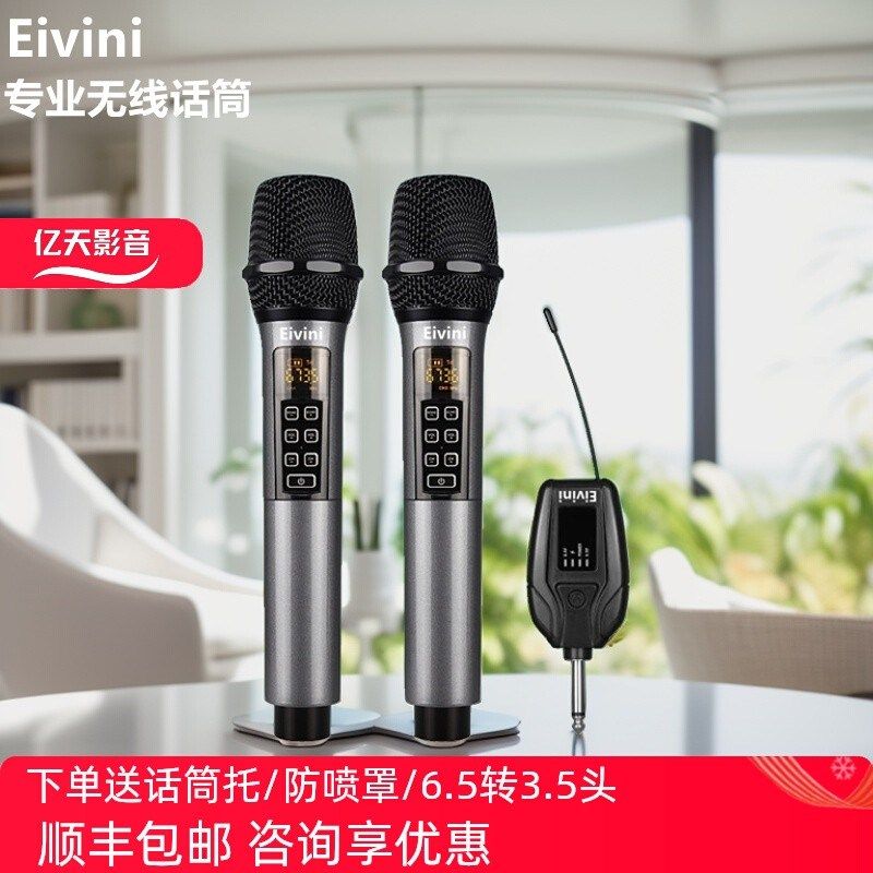 Eivini D300 君伍摇滚王专用无线话筒K歌KTV一拖二麦克风音量可调