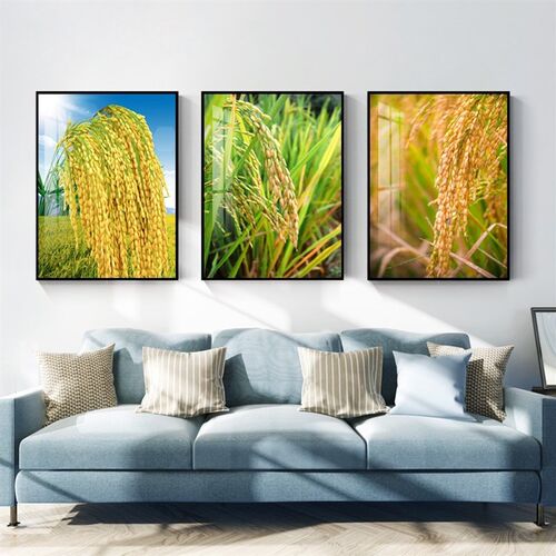 水稻丰收挂画客厅餐厅档背景墙挂画玄关稻田装饰画五谷丰登挂画
