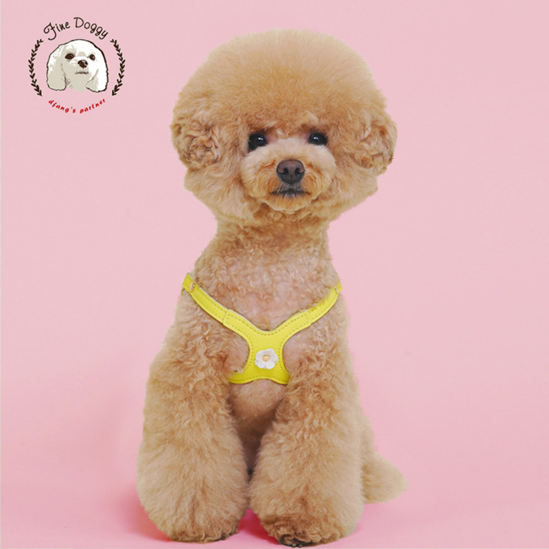 狗狗胸背宠物牵引绳背心式防挣脱小型犬背带夏季溜可爱狗泰迪调节