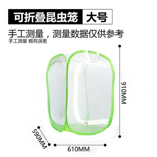 可折叠PVC网笼螳螂饲养箱网螳螂昆虫网可携式饲养盒蚕蛾壁虎鸣虫